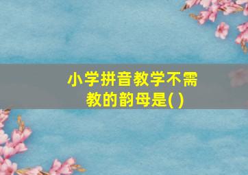 小学拼音教学不需教的韵母是( )